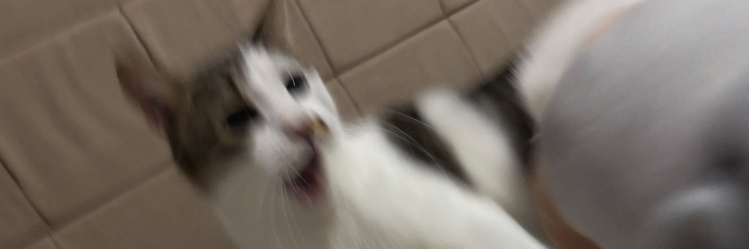 goddessoflowkey's profile banner image