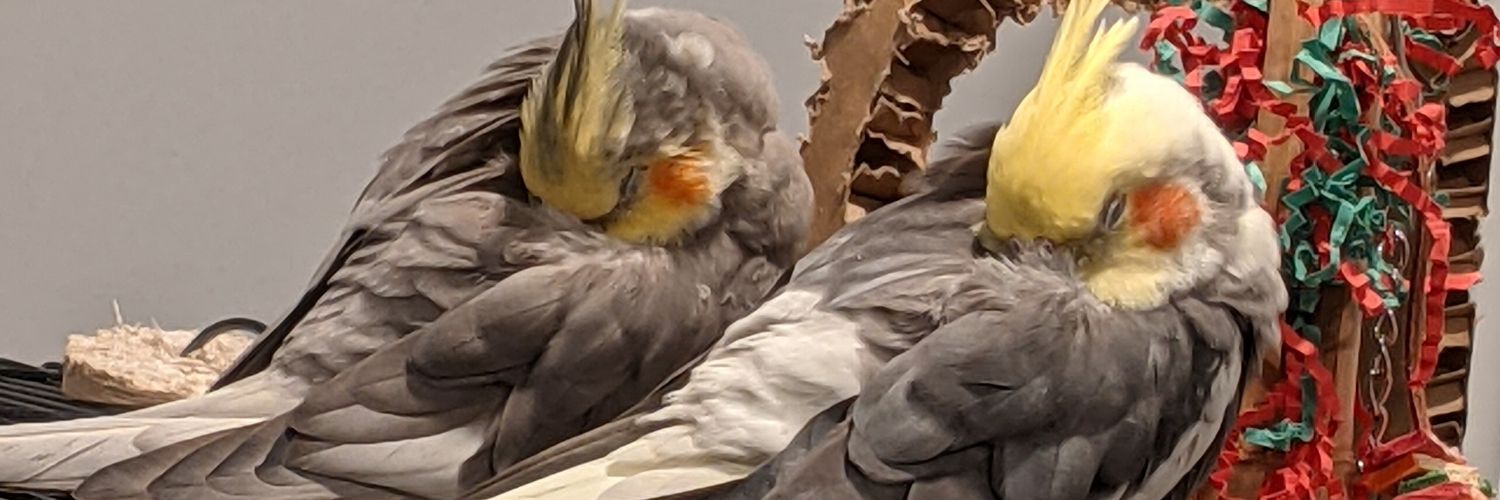 Demyrie sailing the Grand Line ⛵ SORRY banner