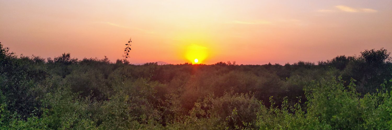 smallabigB's profile banner image