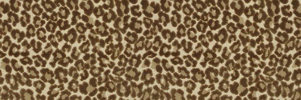 mushroommami Profile Banner