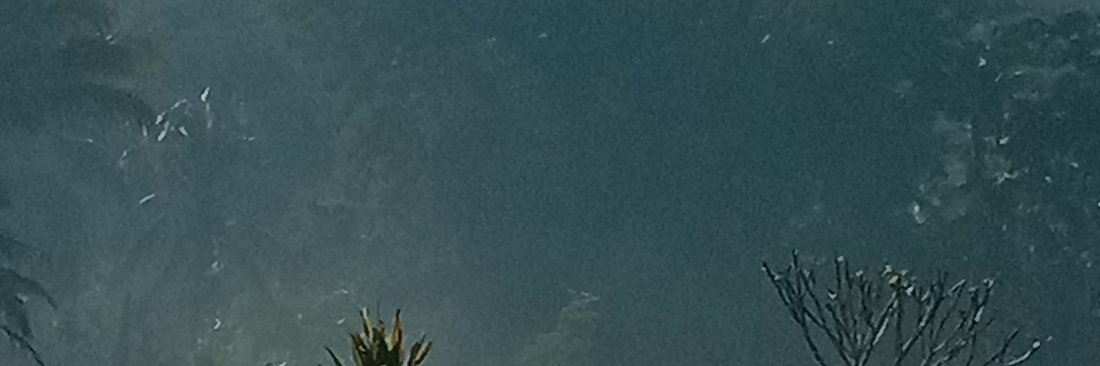 vika17's profile banner image