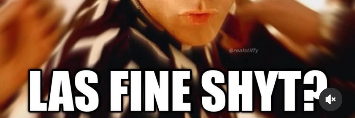 sheen estevez banner