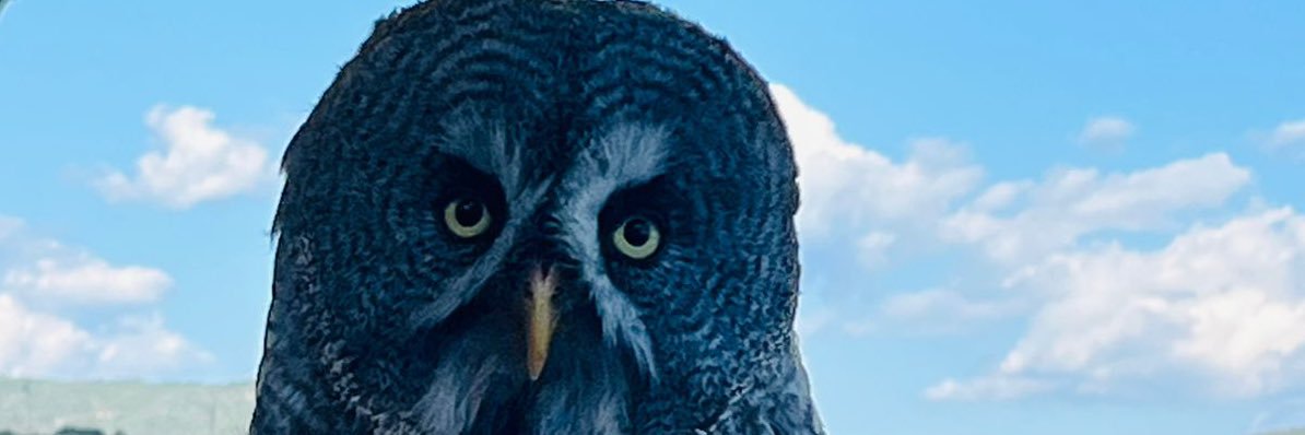 ferranroura's profile banner image