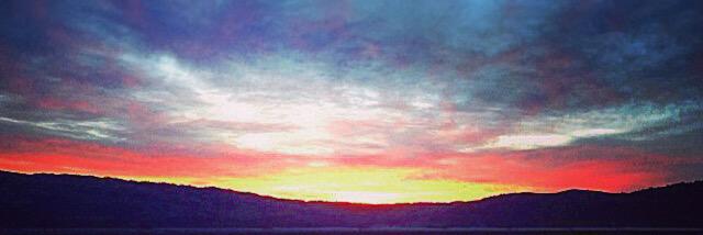 🌹Matt Weed 🌹's banner