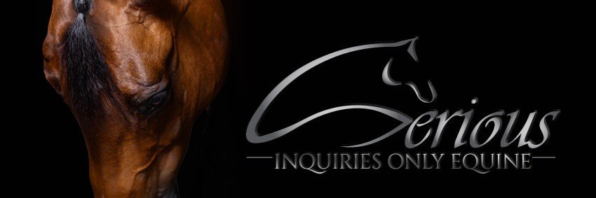 SeriousEquine7's profile banner image