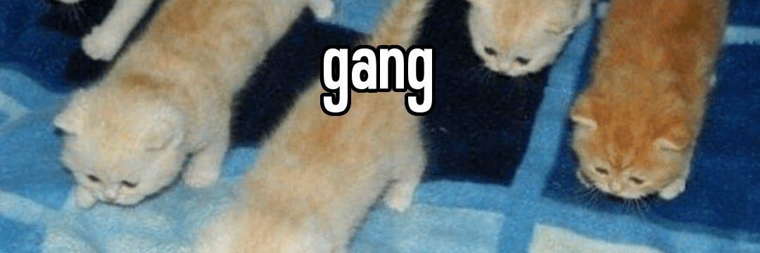 Carnival Stick ▹ ◇ ◃'s banner