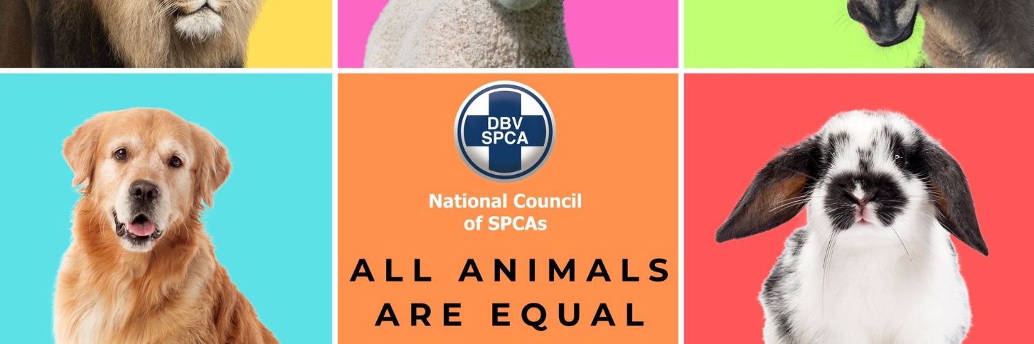 NSPCA South Africa Profile Banner