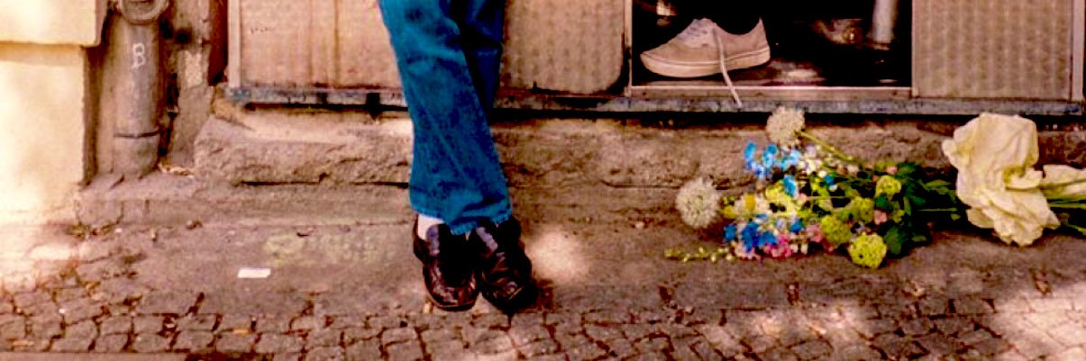 ari 🍉 DISCO, OCCASIONALLY 🪩 banner