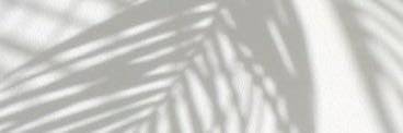 itsbreeannalee's profile banner image