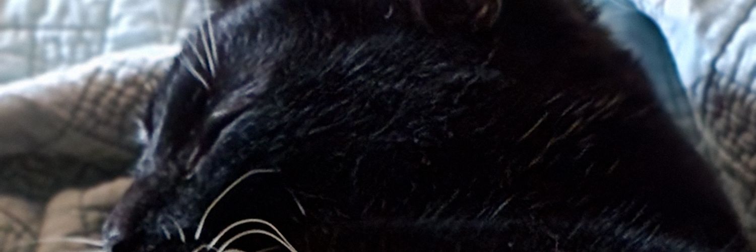 Jamesphan69's profile banner image
