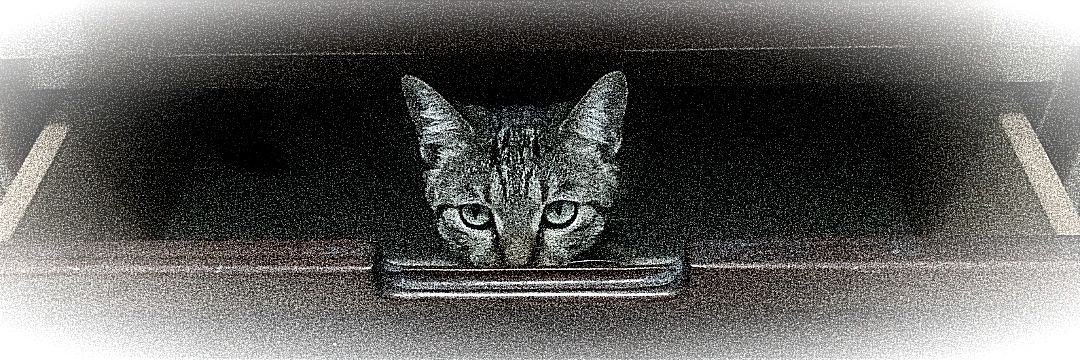 One-eyed Muji 旭 banner