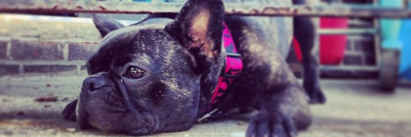 Bre banner
