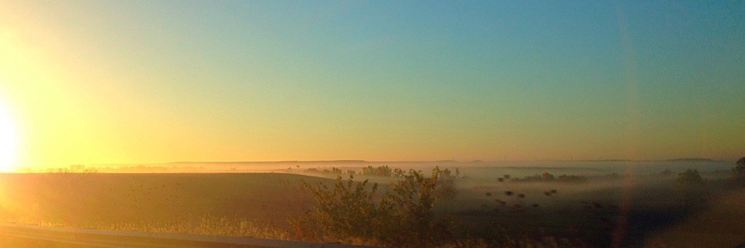 Dani Macy banner