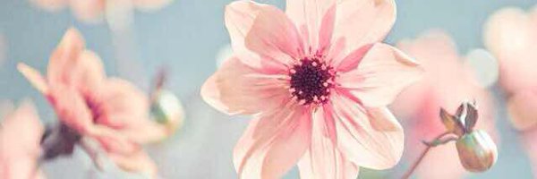 MeilingYing_UR Profile Banner