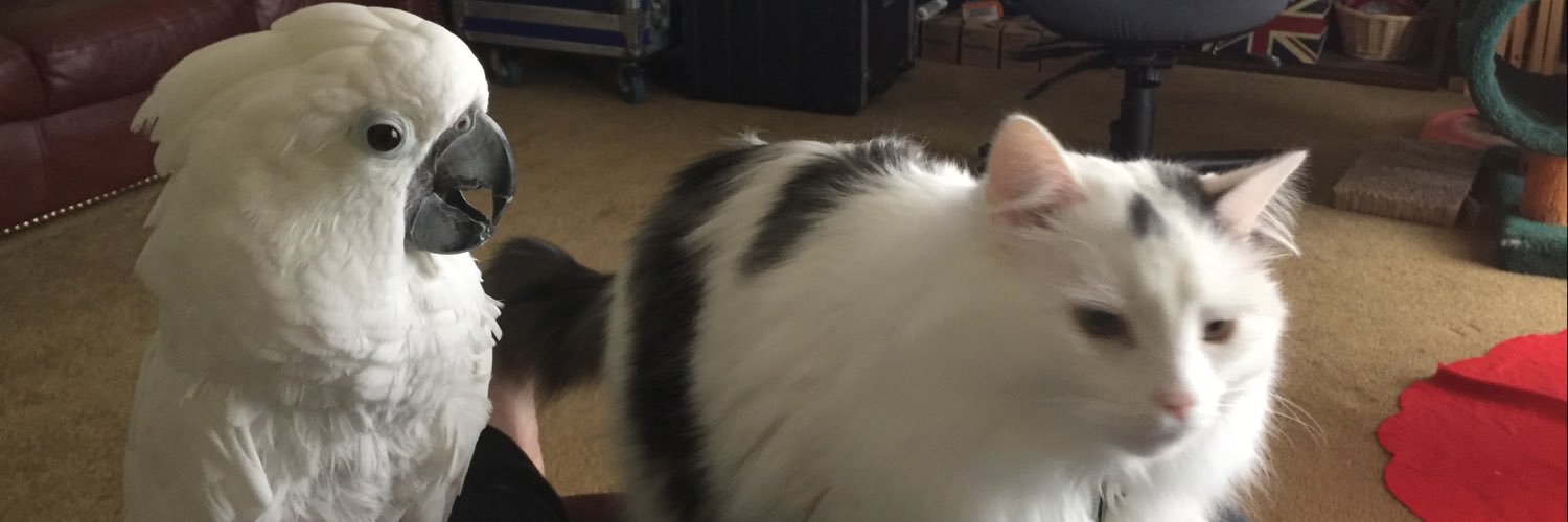 Ginger Middleton banner