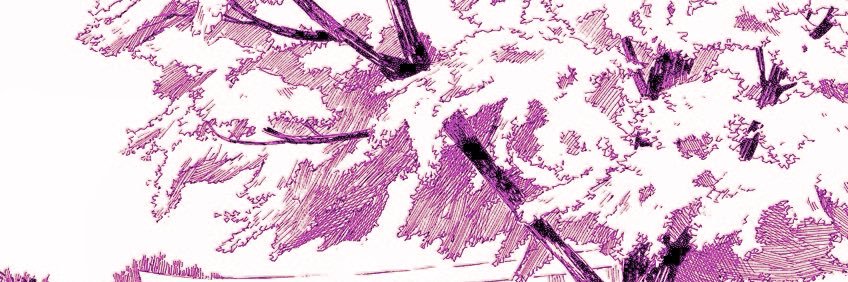 PolybiusBR's profile banner image