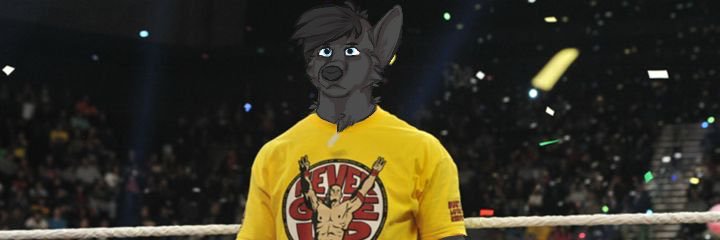 LowLeeWolf's profile banner image