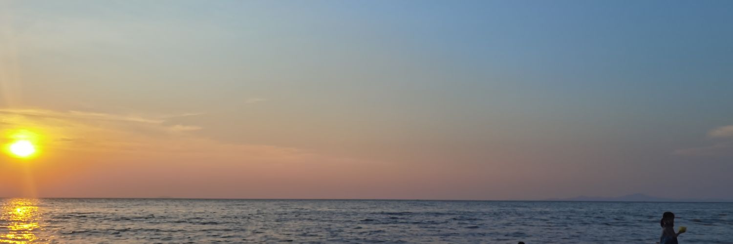 runOrNotRunQz's profile banner image