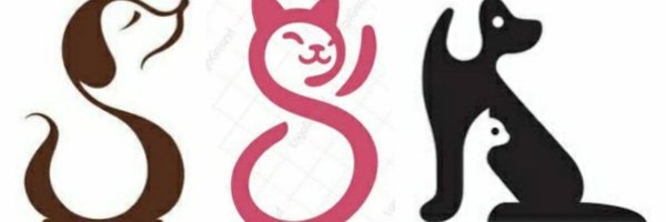 SENTHILSSK1982 Profile Banner
