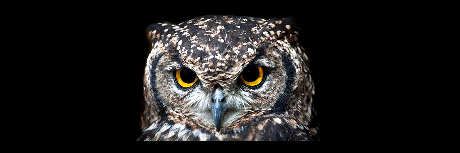 Nassim Nicholas Taleb's Wisdom's banner