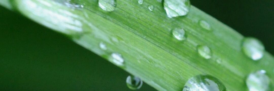 Aseps_68's profile banner image