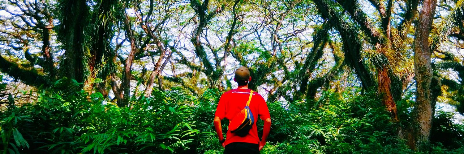 sandiariyanto's profile banner image
