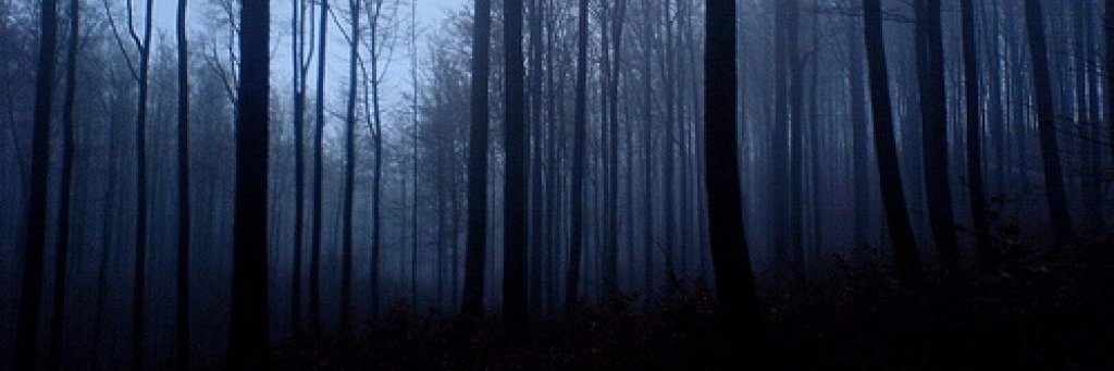 StartledCrow's profile banner image