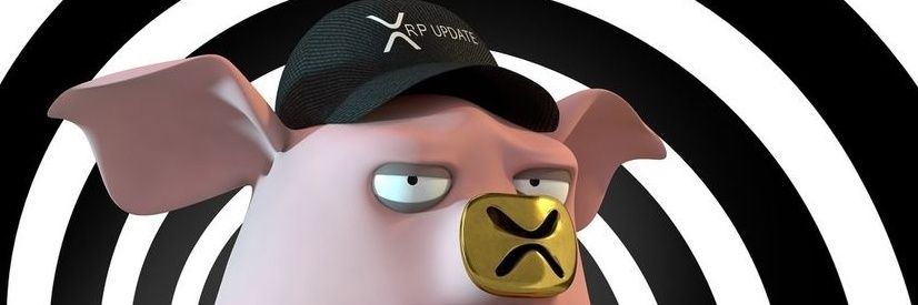 XXRPS's profile banner image
