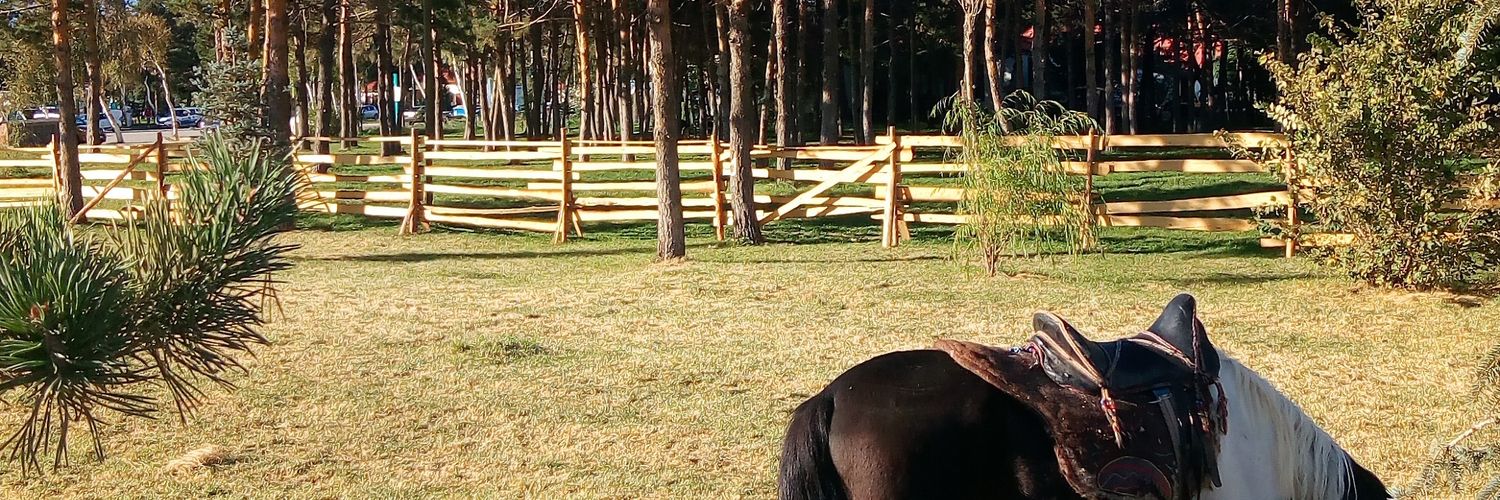 zehratweet's profile banner image