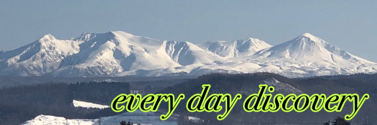 こぐま北海道 banner