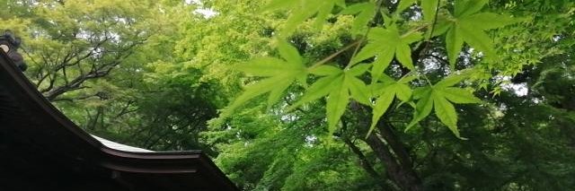 linjingjing's profile banner image