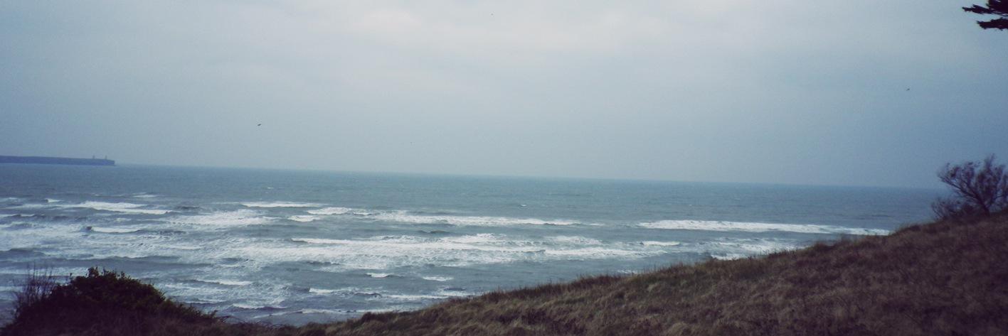 Noelle Cooper banner