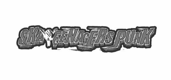 SKA TEENAGERS PUNK banner