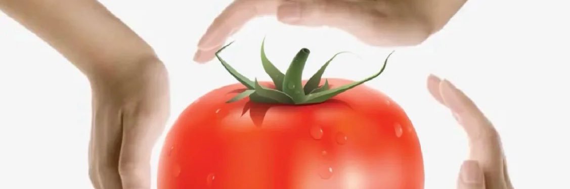 tomato_o07's profile banner image