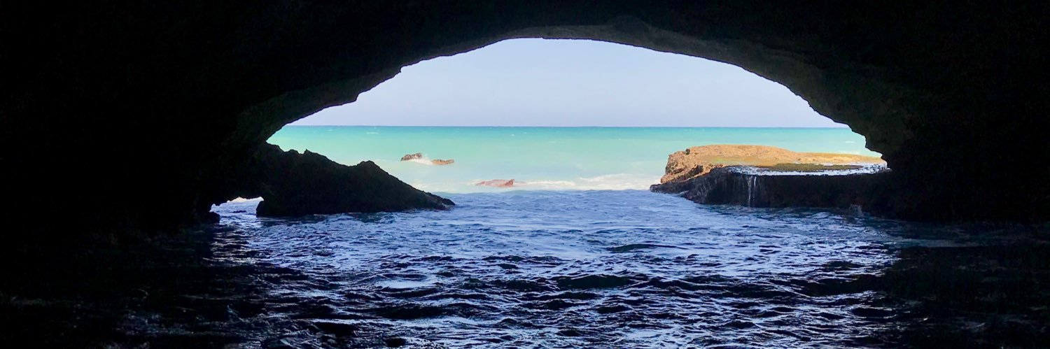 Wayne Wilson 🇿🇦 banner