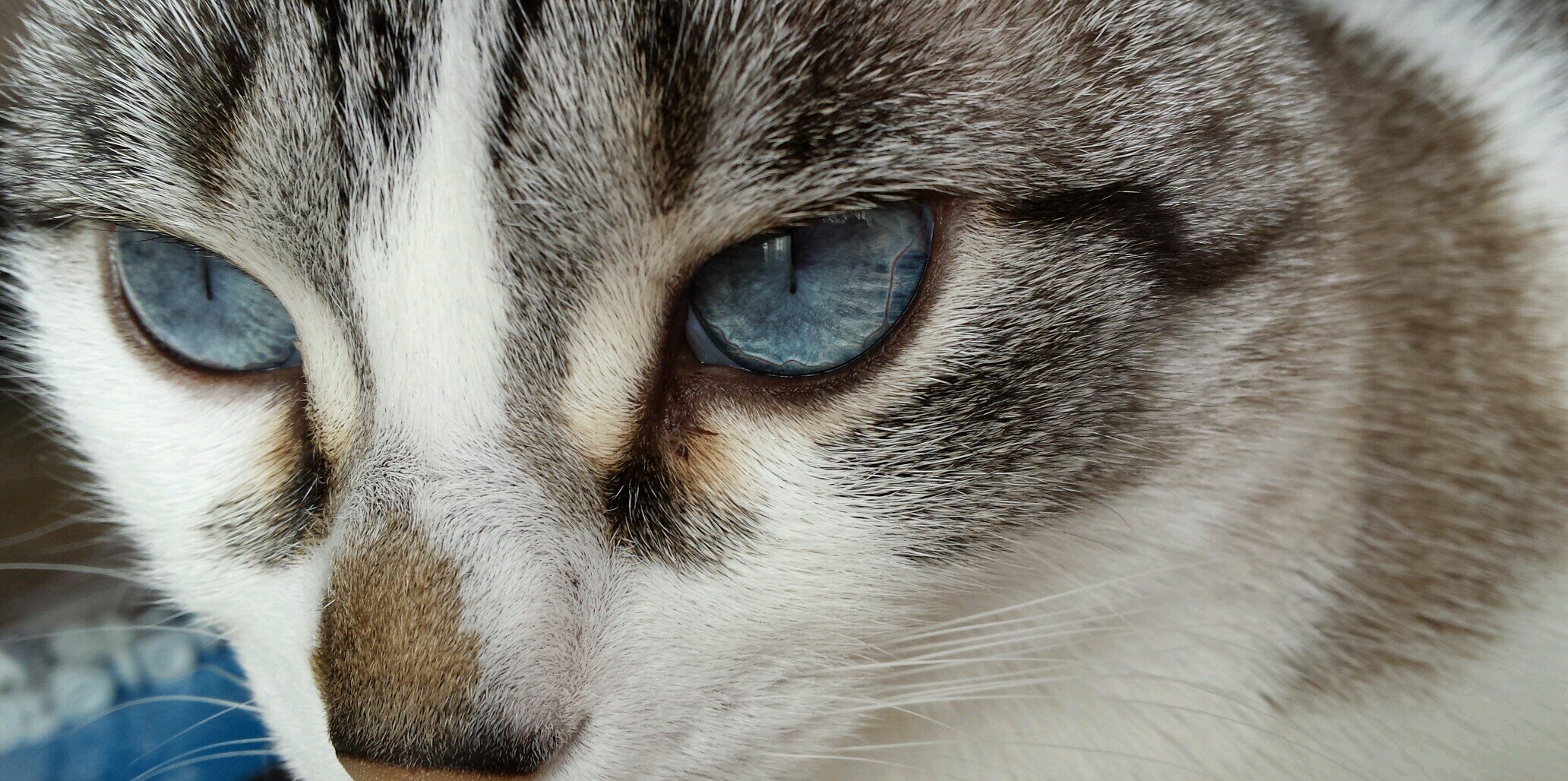 vidranesa's profile banner image