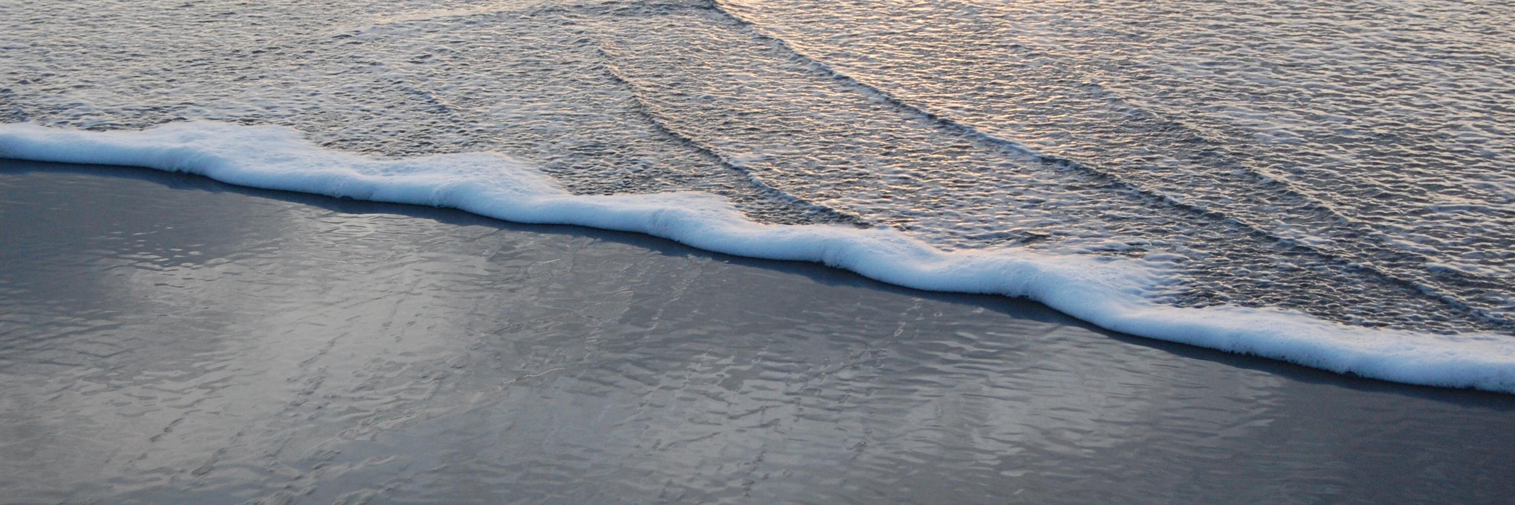 Darren Binnema banner