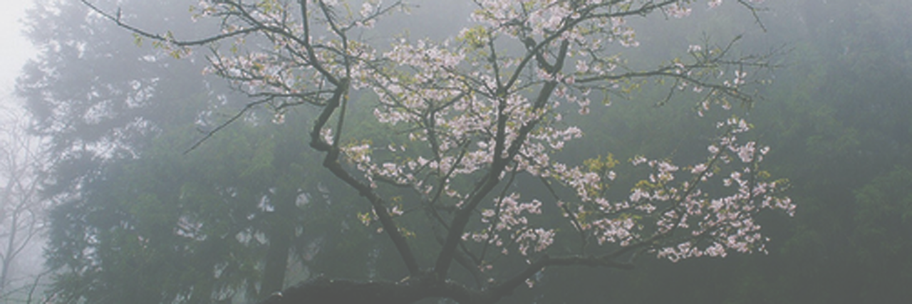 inkysquidy's profile banner image