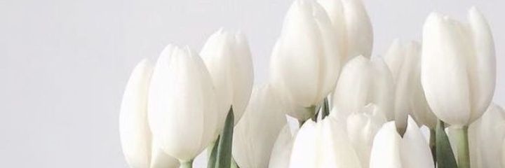 laviniayaaa's profile banner image