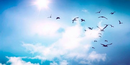 a93_esmee's profile banner image
