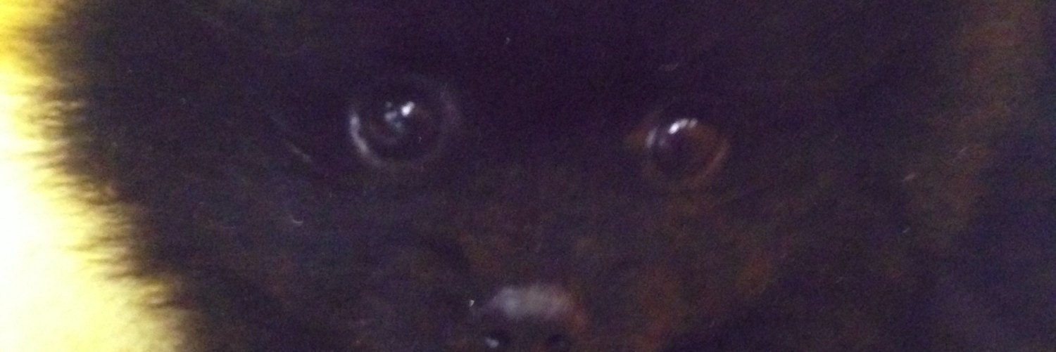 miranot's profile banner image
