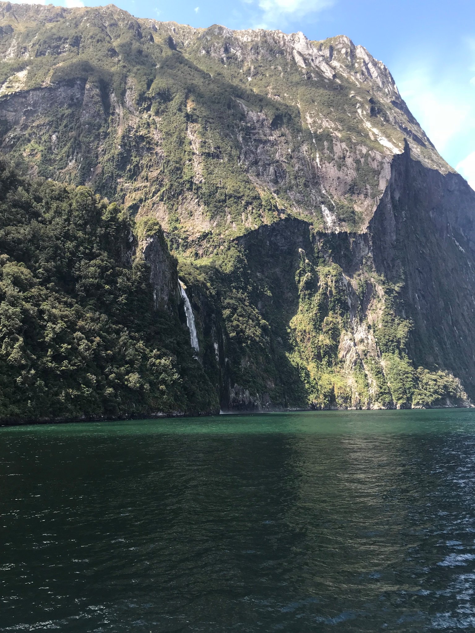 Dr. Jessica Runting banner