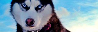 Le_Viter's profile banner image