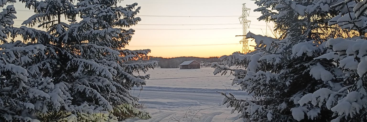 Olli Uusi-Eskola banner