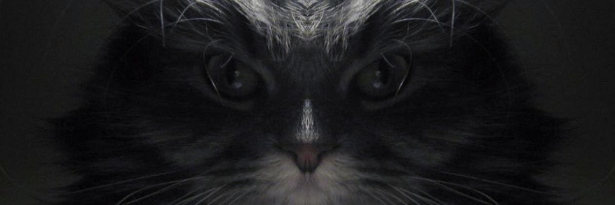 bebbe321_'s profile banner image