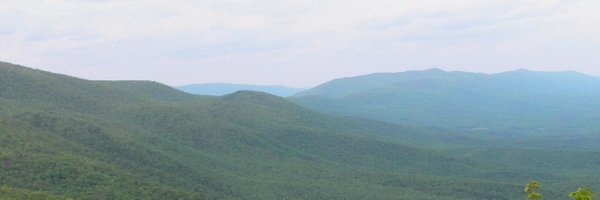 joelmcglothlin Profile Banner