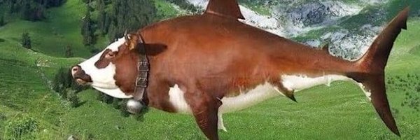 Foxialewd Profile Banner