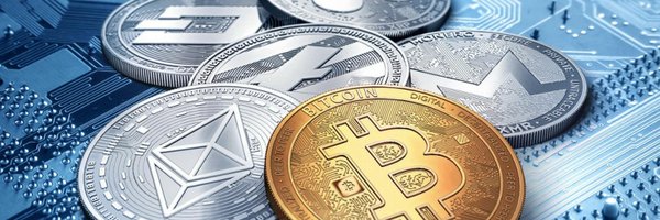 cryptonewsweb Profile Banner