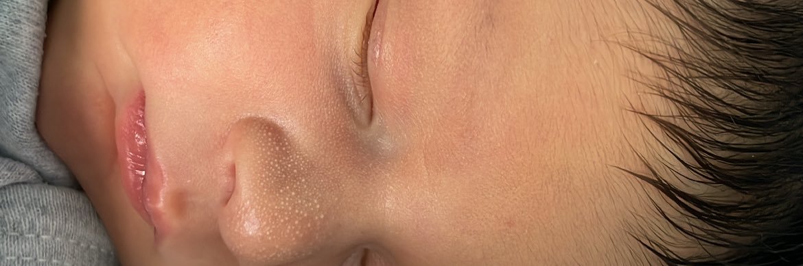 Brennacarvalh's profile banner image