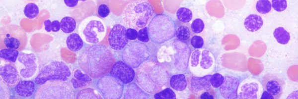 _saba_ali Profile Banner